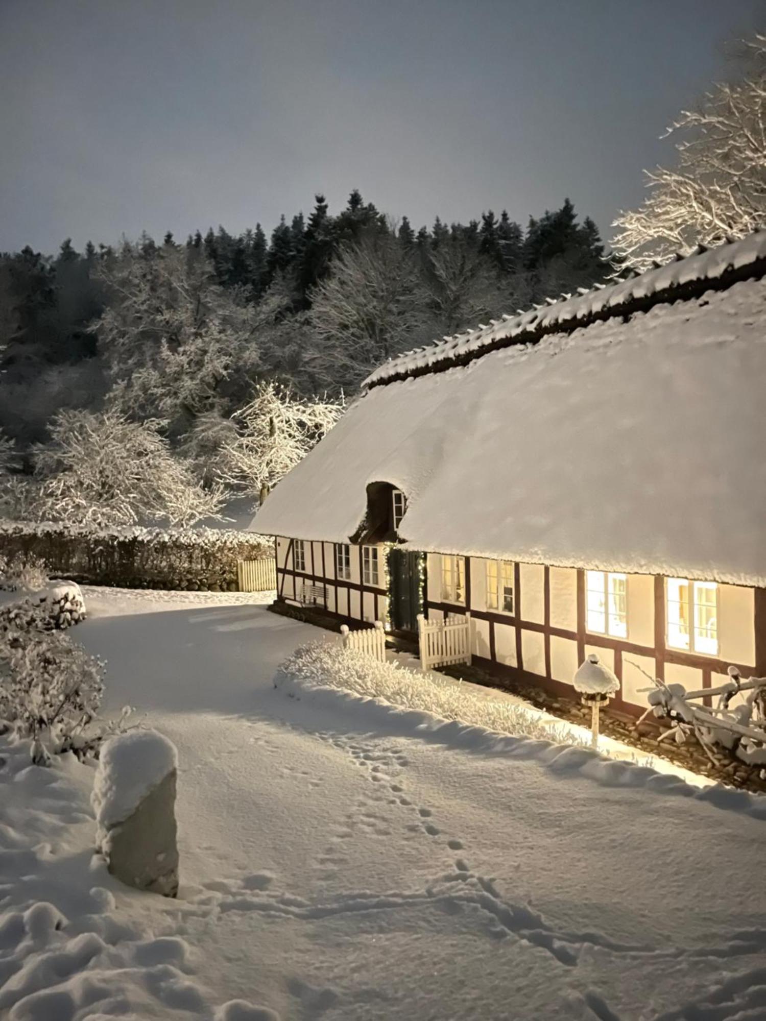 Lillemollens Bed & Breakfast Orbaek  Екстериор снимка