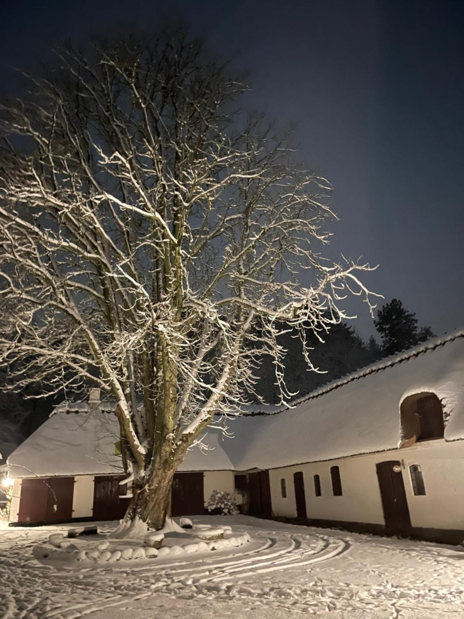 Lillemollens Bed & Breakfast Orbaek  Екстериор снимка