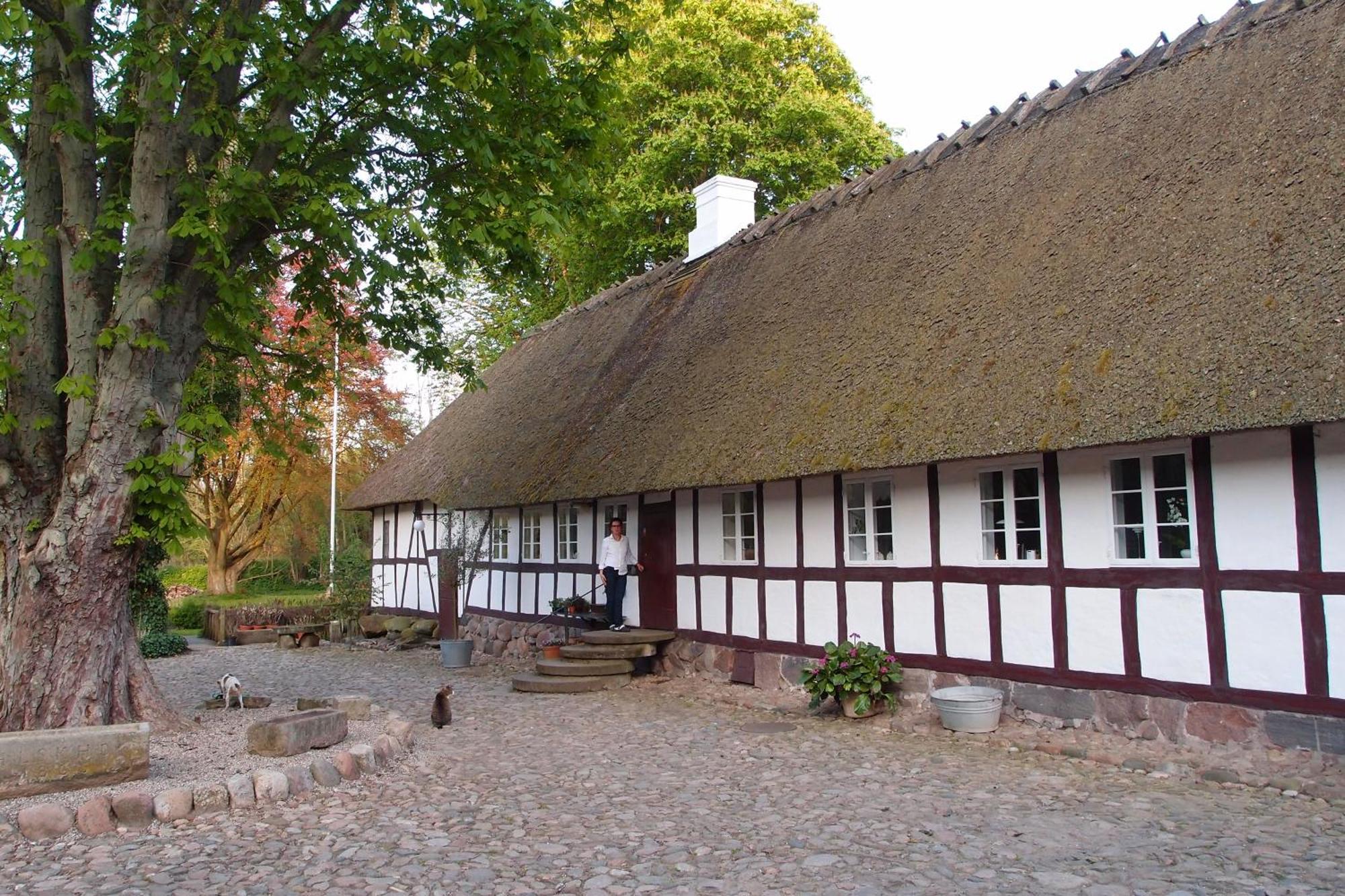 Lillemollens Bed & Breakfast Orbaek  Екстериор снимка